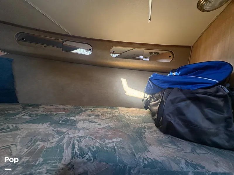 Slide: The Image of Bertram 33 Sportfisherman 1984 - 16197546