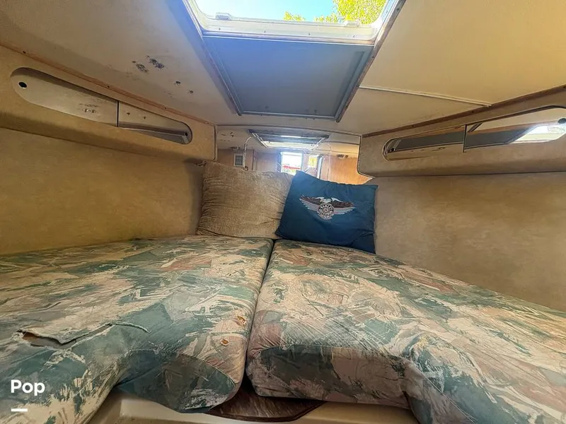 Slide: The Image of Bertram 33 Sportfisherman 1984 - 16197547