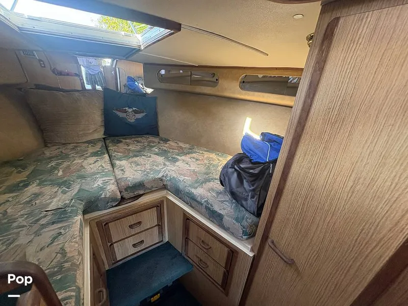 Slide: The Image of Bertram 33 Sportfisherman 1984 - 16197542