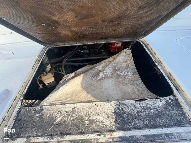 Slide: The Image of Bertram 33 Sportfisherman 1984 - 16197495