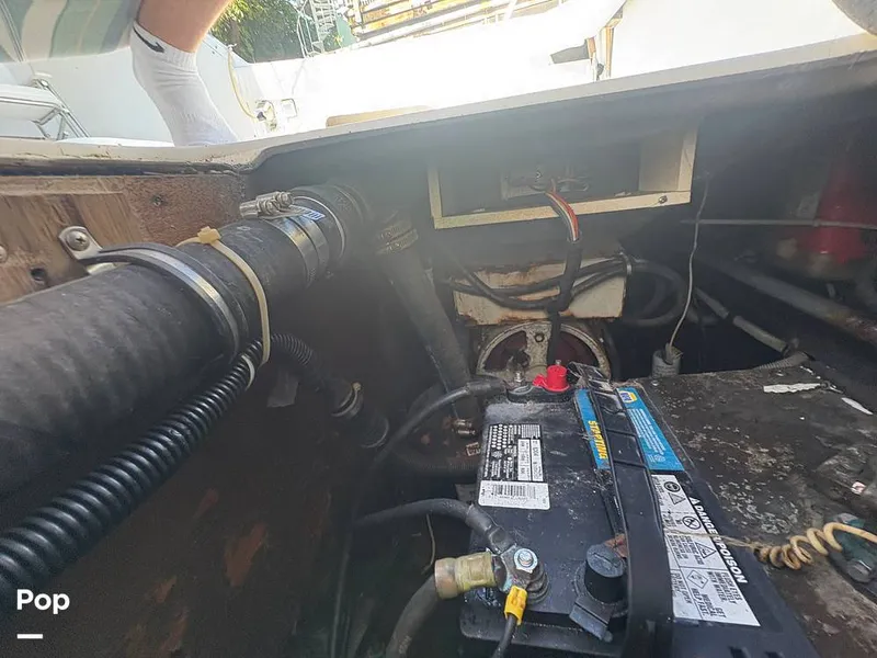 Slide: The Image of Bertram 33 Sportfisherman 1984 - 16197505