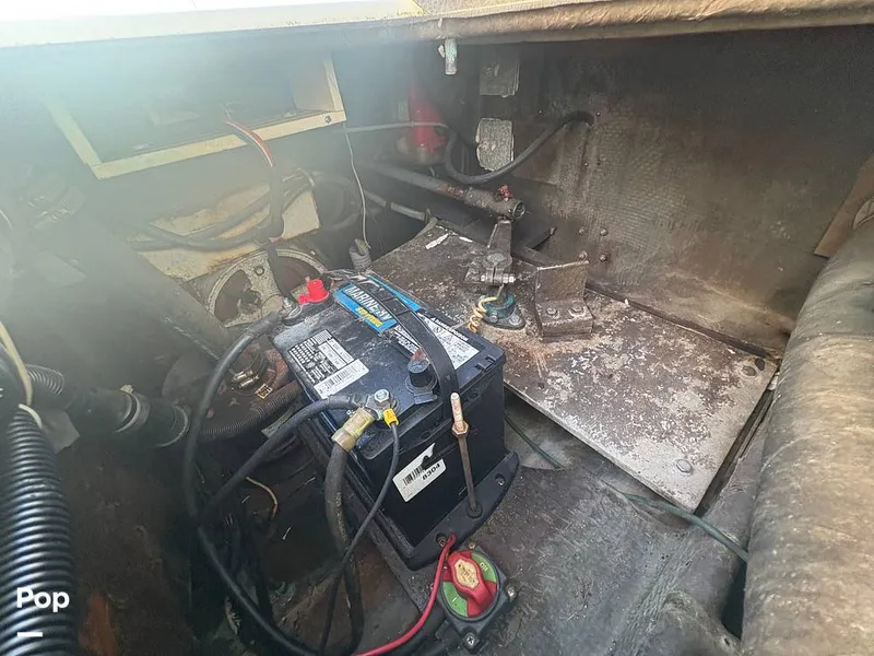 Slide: The Image of Bertram 33 Sportfisherman 1984 - 16197499