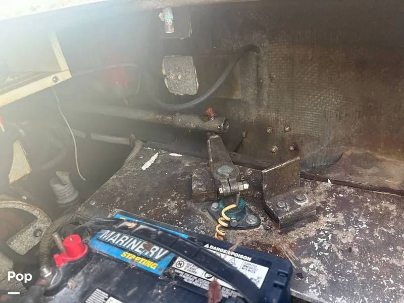 Slide: The Image of Bertram 33 Sportfisherman 1984 - 16197500