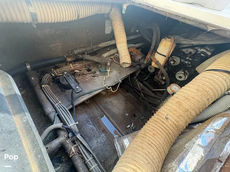 Slide: The Image of Bertram 33 Sportfisherman 1984 - 16197487