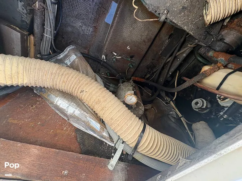 Slide: The Image of Bertram 33 Sportfisherman 1984 - 16197486