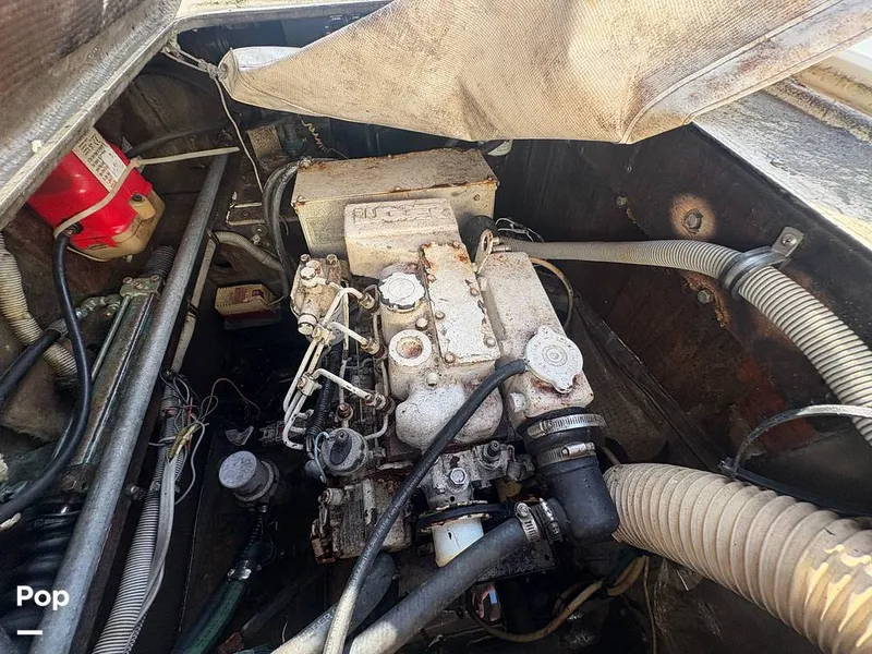 Slide: The Image of Bertram 33 Sportfisherman 1984 - 16197496