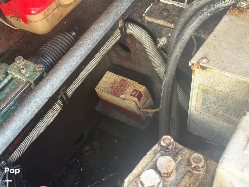 Slide: The Image of Bertram 33 Sportfisherman 1984 - 16197497