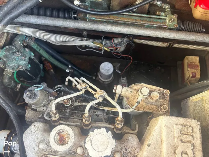 Slide: The Image of Bertram 33 Sportfisherman 1984 - 16197492