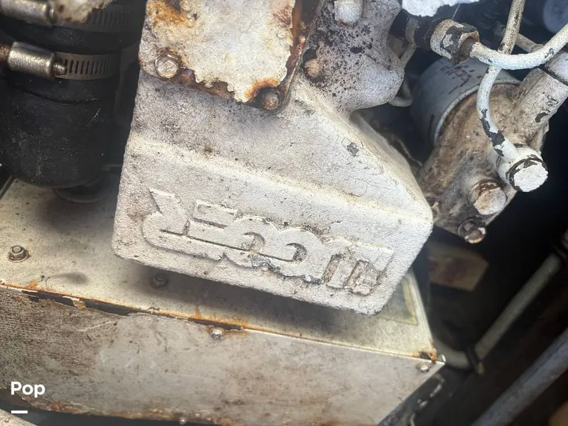 Slide: The Image of Bertram 33 Sportfisherman 1984 - 16197493