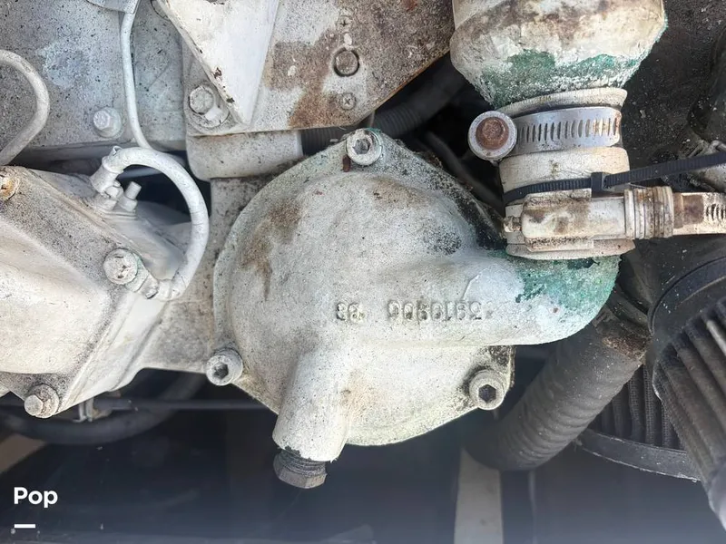 Slide: The Image of Bertram 33 Sportfisherman 1984 - 16197603