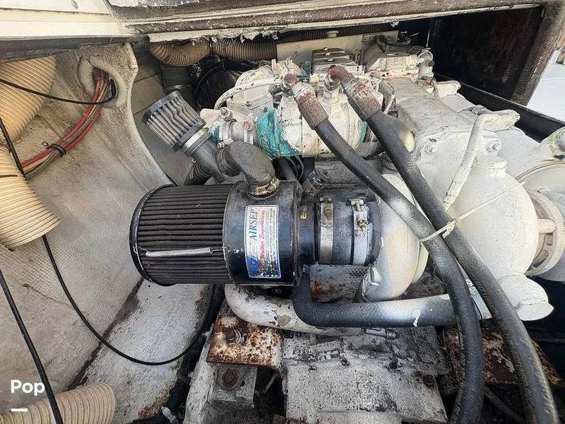 Slide: The Image of Bertram 33 Sportfisherman 1984 - 16197607