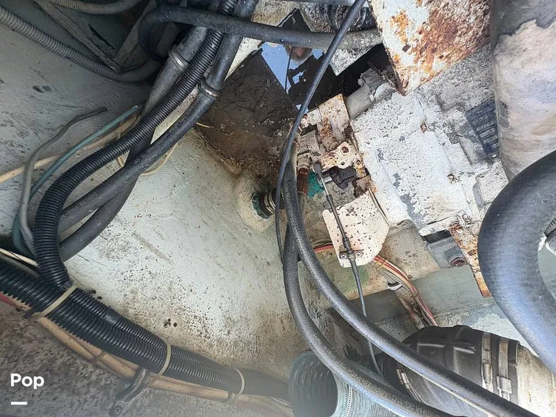 Slide: The Image of Bertram 33 Sportfisherman 1984 - 16197605