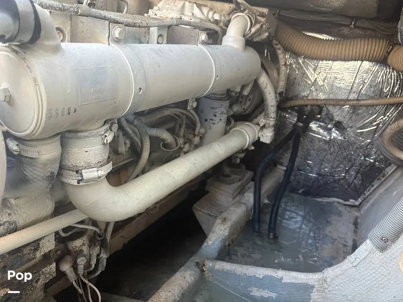 Slide: The Image of Bertram 33 Sportfisherman 1984 - 16197602