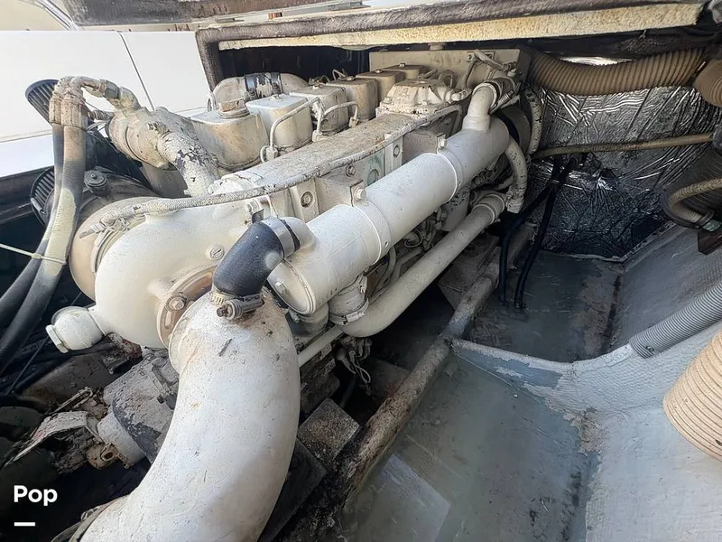 Slide: The Image of Bertram 33 Sportfisherman 1984 - 16197604