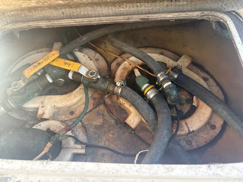 Slide: The Image of Bertram 33 Sportfisherman 1984 - 16197617