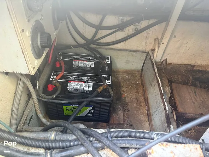 Slide: The Image of Bertram 33 Sportfisherman 1984 - 16197601