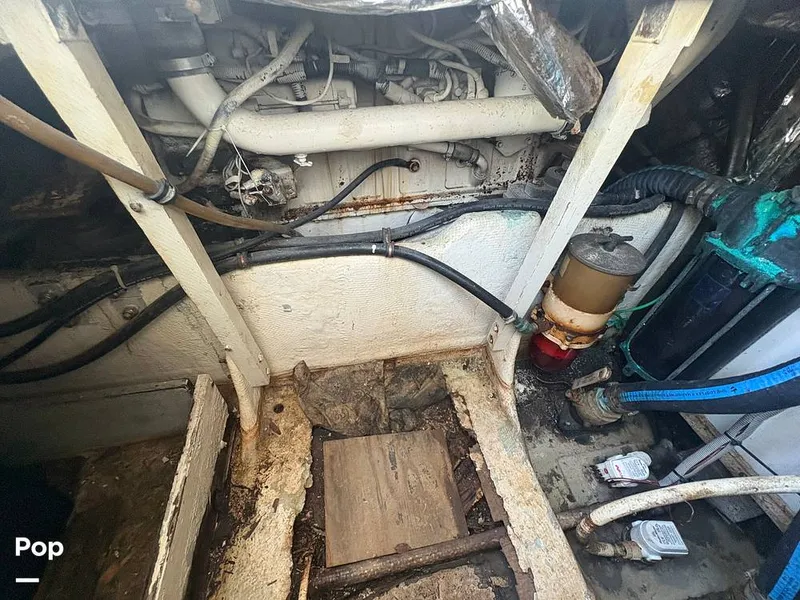 Slide: The Image of Bertram 33 Sportfisherman 1984 - 16197613