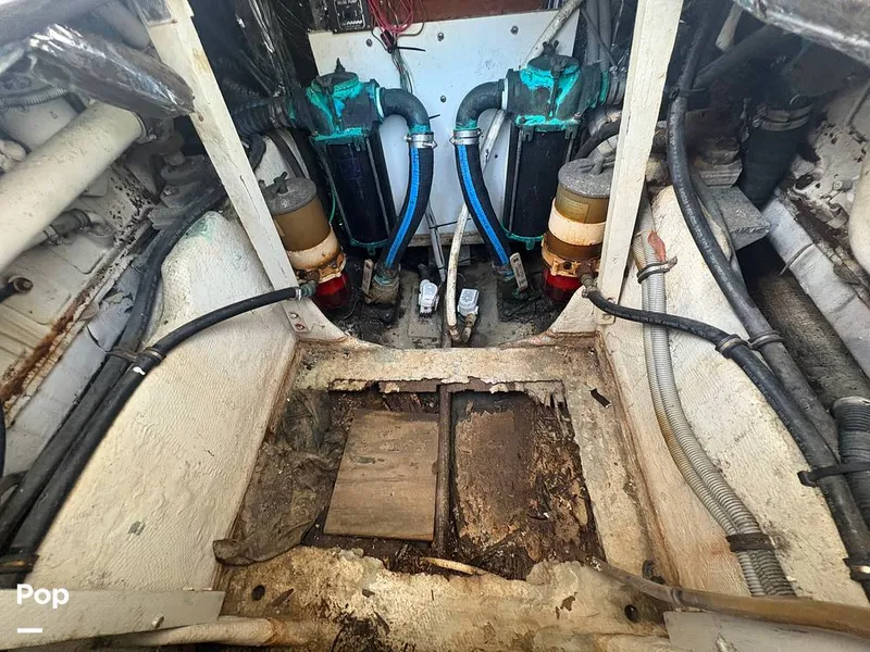 Slide: The Image of Bertram 33 Sportfisherman 1984 - 16197611