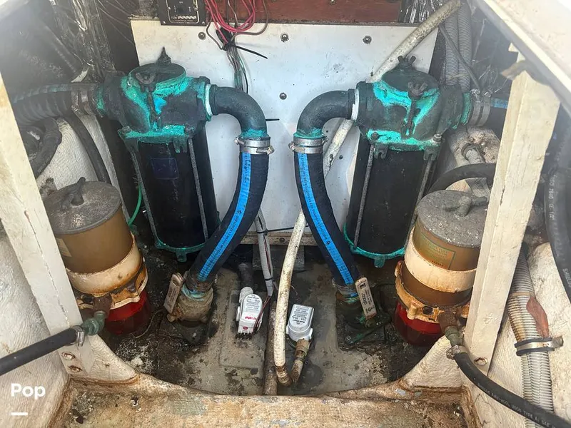 Slide: The Image of Bertram 33 Sportfisherman 1984 - 16197615