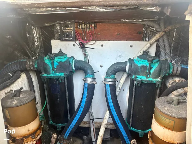 Slide: The Image of Bertram 33 Sportfisherman 1984 - 16197616