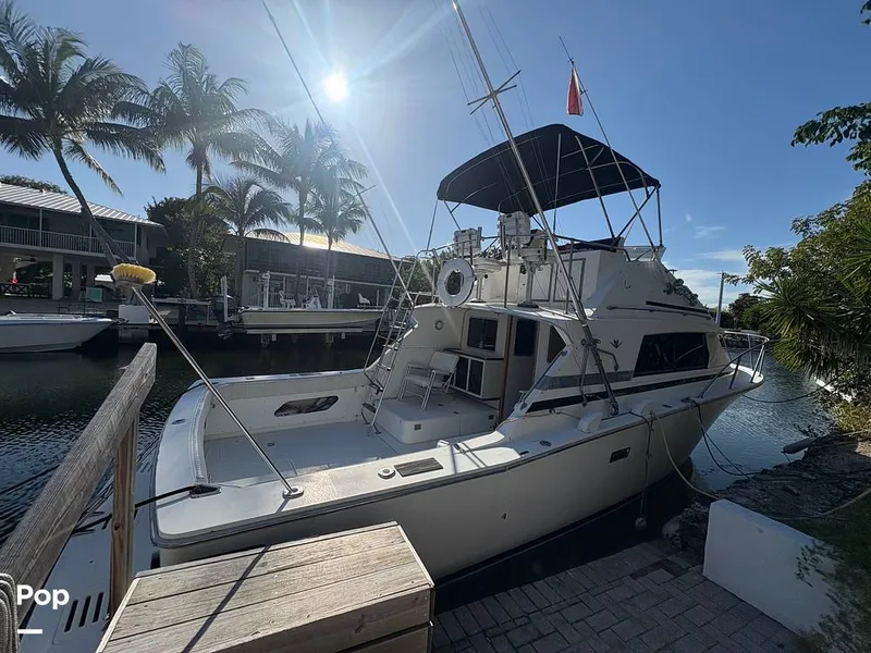 Slide: The Image of Bertram 33 Sportfisherman 1984 - 16197471