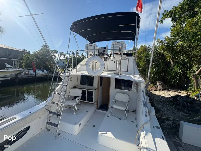 Slide: The Image of Bertram 33 Sportfisherman 1984 - 16197476