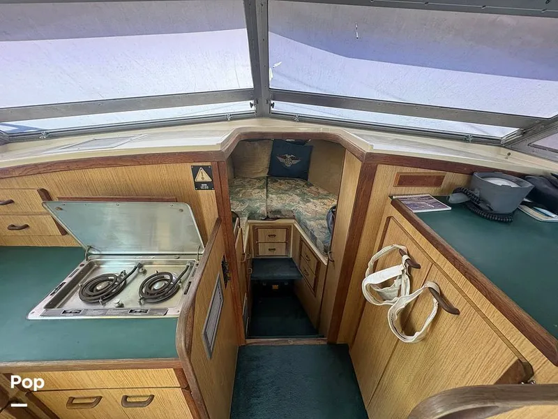 Slide: The Image of Bertram 33 Sportfisherman 1984 - 16197524