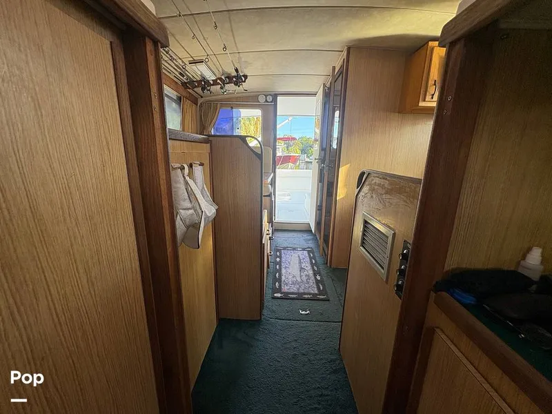 Slide: The Image of Bertram 33 Sportfisherman 1984 - 16197554