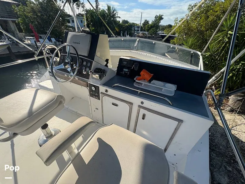 Slide: The Image of Bertram 33 Sportfisherman 1984 - 16197580