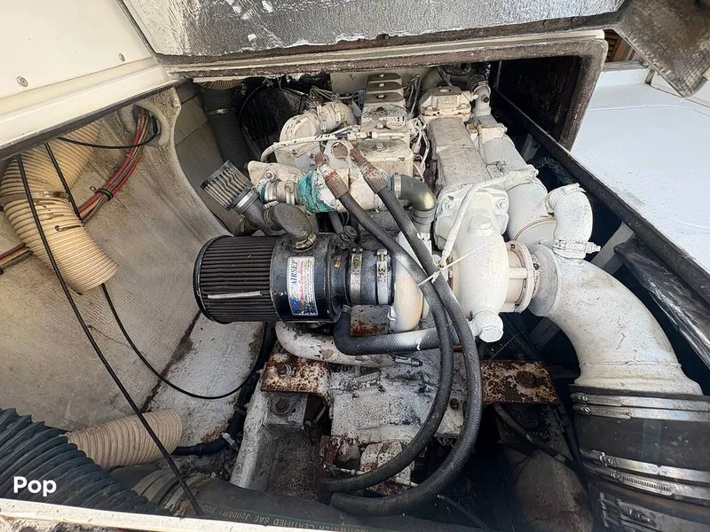 Slide: The Image of Bertram 33 Sportfisherman 1984 - 16197610