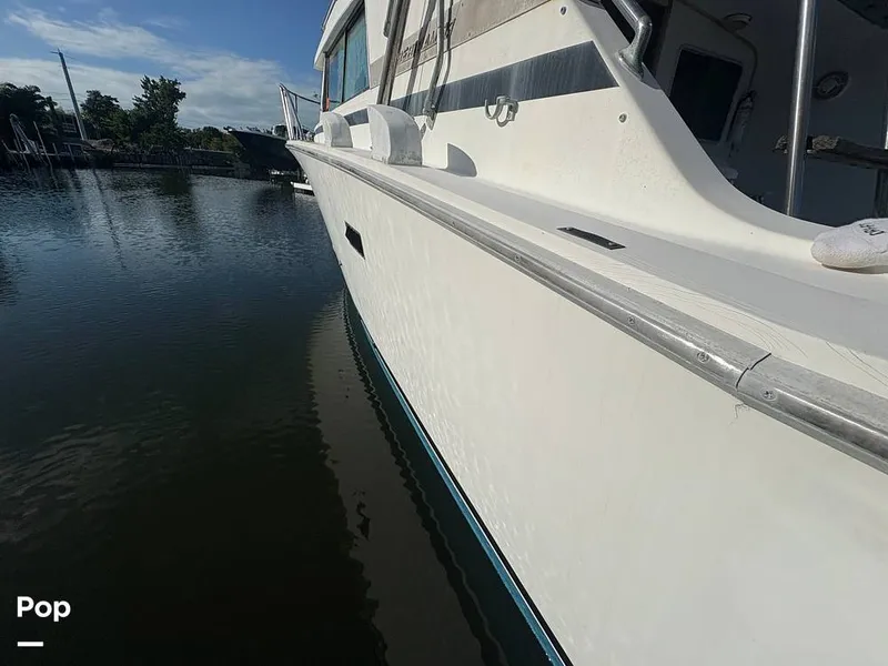 Slide: The Image of Bertram 33 Sportfisherman 1984 - 16197598