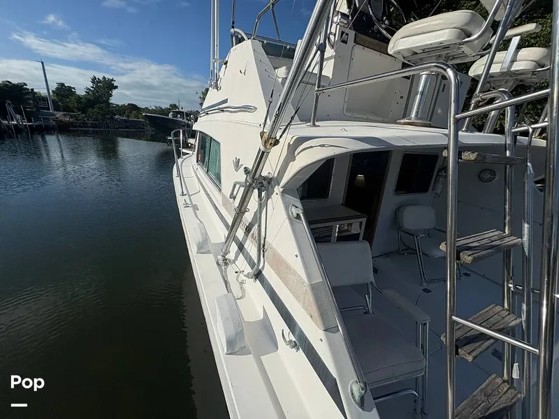 Slide: The Image of Bertram 33 Sportfisherman 1984 - 16197597