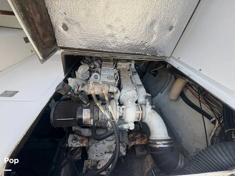 Slide: The Image of Bertram 33 Sportfisherman 1984 - 16197599