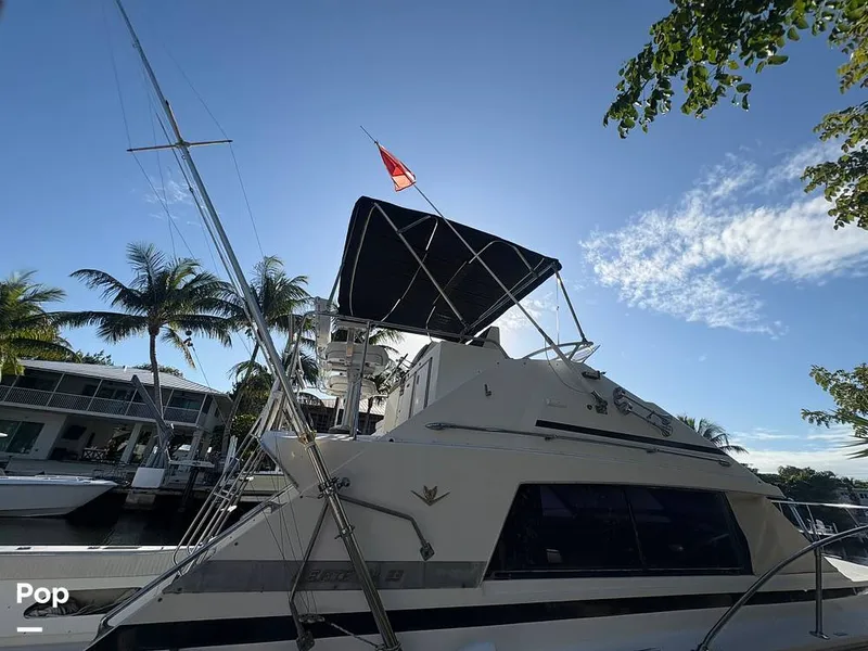 Slide: The Image of Bertram 33 Sportfisherman 1984 - 16197619