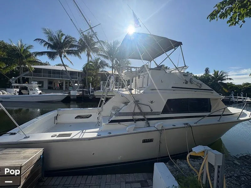 Slide: The Image of Bertram 33 Sportfisherman 1984 - 16197475