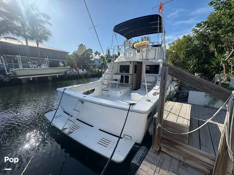 Slide: The Image of Bertram 33 Sportfisherman 1984 - 16199141