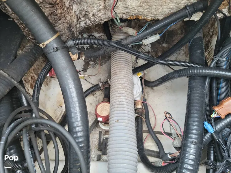 Slide: The Image of Blue Wave 2400 Pure Bay 2018 - 16141481