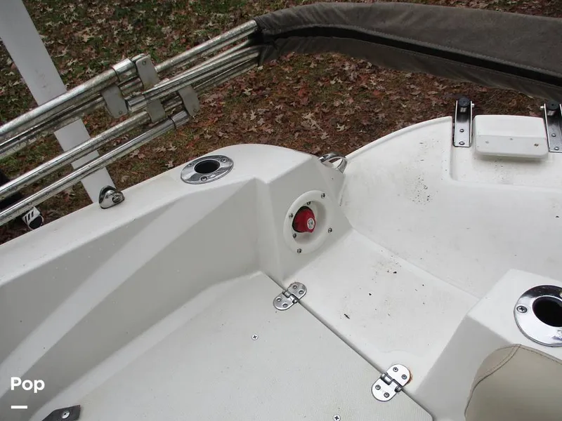 Slide: The Image of Stingray 206 CC 2018 - 16105274