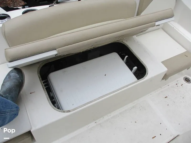 Slide: The Image of Stingray 206 CC 2018 - 16105276