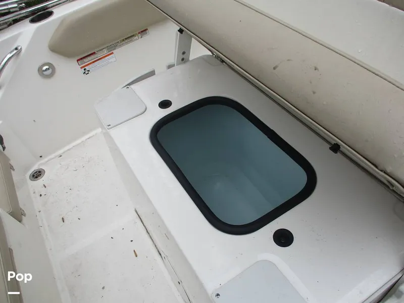 Slide: The Image of Stingray 206 CC 2018 - 16105278