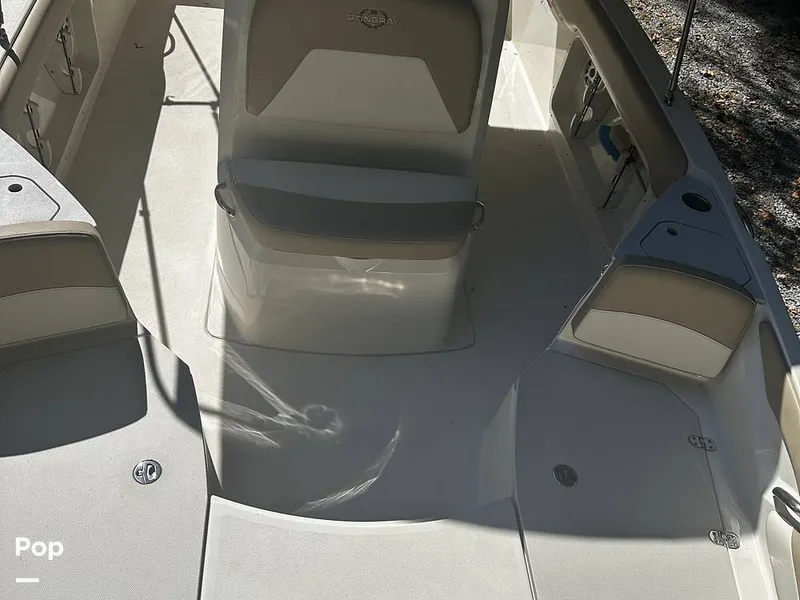 Slide: The Image of Stingray 206 CC 2018 - 16085906