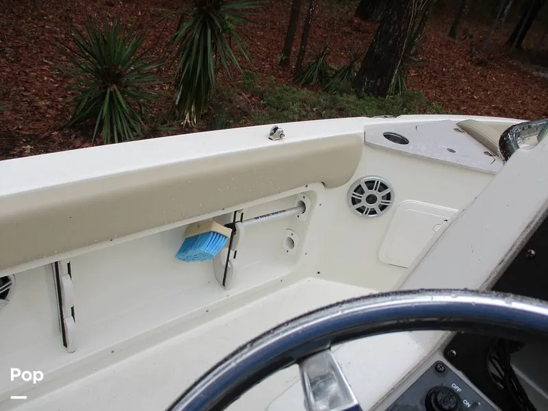 Slide: The Image of Stingray 206 CC 2018 - 16105285