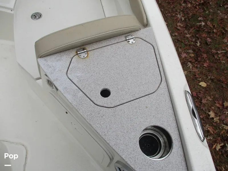 Slide: The Image of Stingray 206 CC 2018 - 16105287