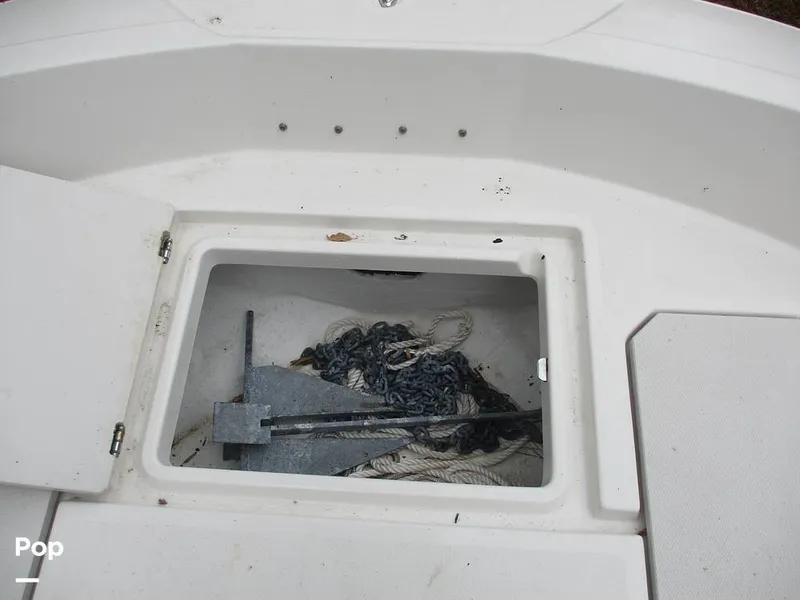 Slide: The Image of Stingray 206 CC 2018 - 16105292