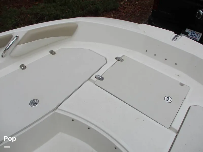 Slide: The Image of Stingray 206 CC 2018 - 16105293