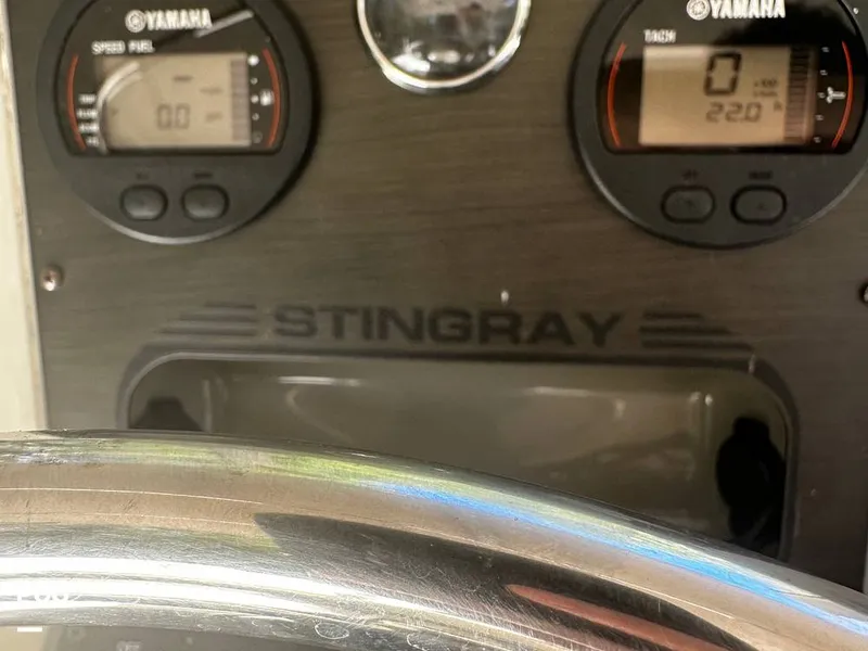 Slide: The Image of Stingray 206 CC 2018 - 16085907