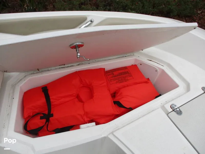 Slide: The Image of Stingray 206 CC 2018 - 16105294