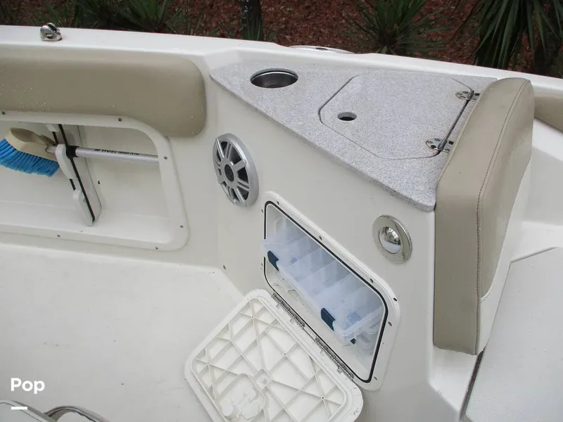 Slide: The Image of Stingray 206 CC 2018 - 16105297