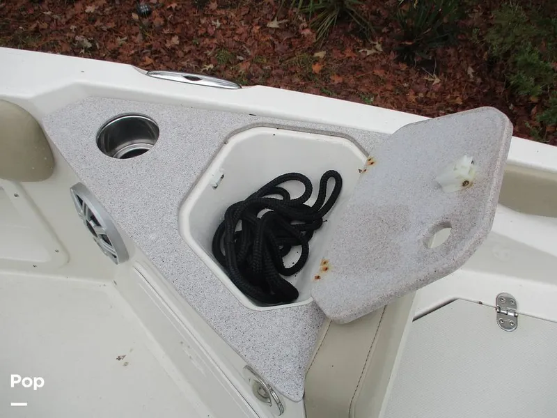 Slide: The Image of Stingray 206 CC 2018 - 16105298