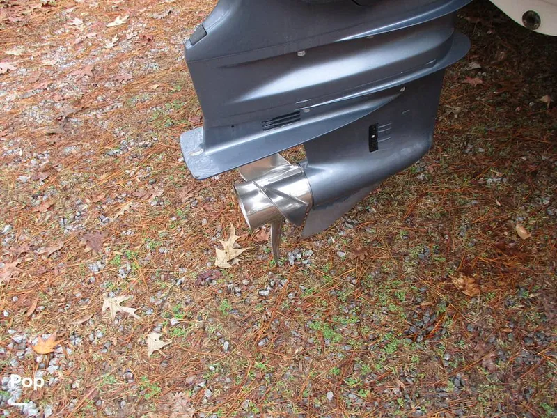 Slide: The Image of Stingray 206 CC 2018 - 16105301